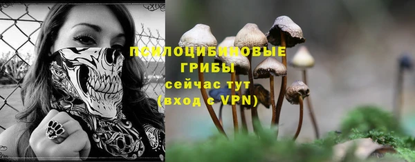 прущая мука Пестово