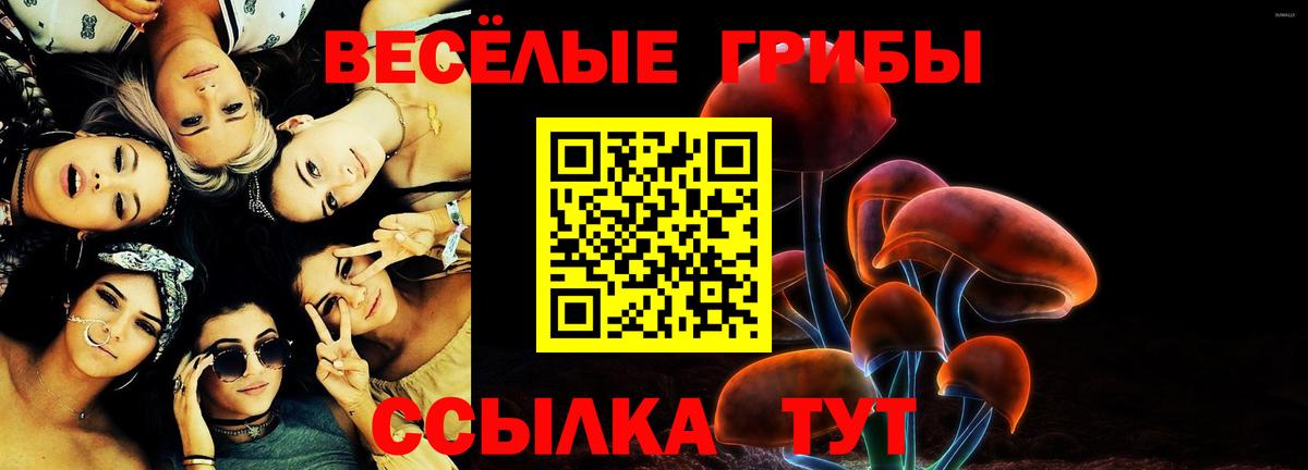 Кропоткин  Псилоцибиновые грибы Psilocybe  Вход с VPN 
